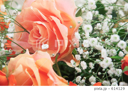 バラの花束 バラの花束 614129