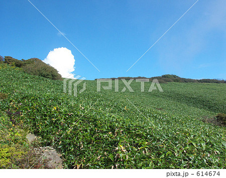 夏の瓶ヶ森 614674