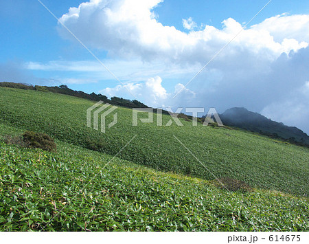 夏の瓶ヶ森 614675