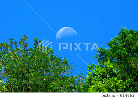 昼間の月ー3 614963