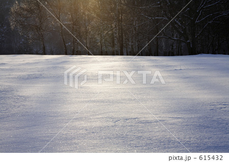 雪原と木立 615432