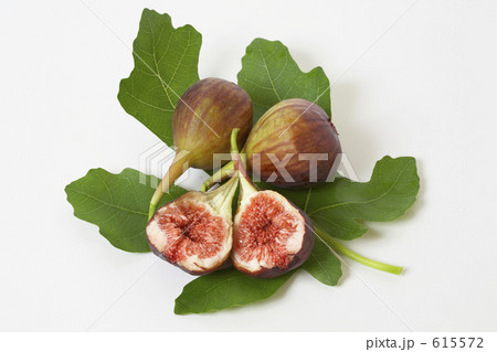 イチジク 615572