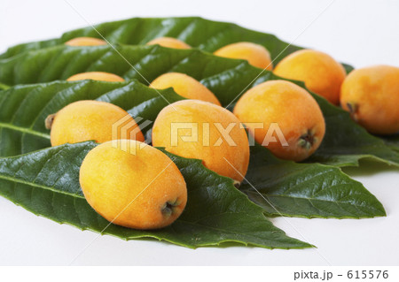 ビワ ビワ 615576