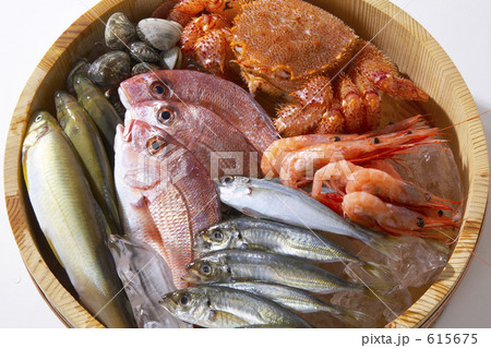 魚介類 615675