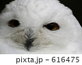 616475