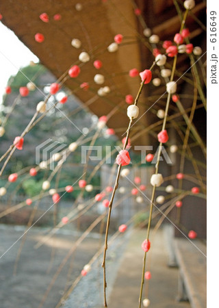 紅白の餅花 616649