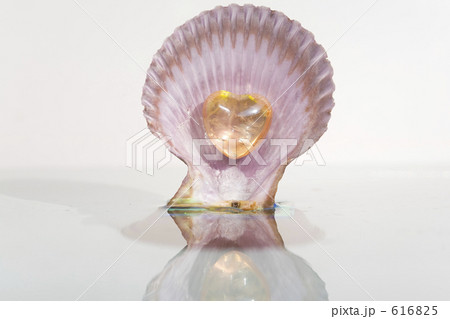 貝とハートの天然石 貝とハートの天然石 616825