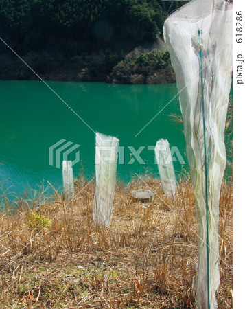 鹿の食害防止ネット 618286