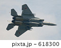 618300