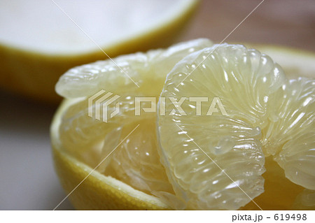 土佐文旦 土佐文旦 619498