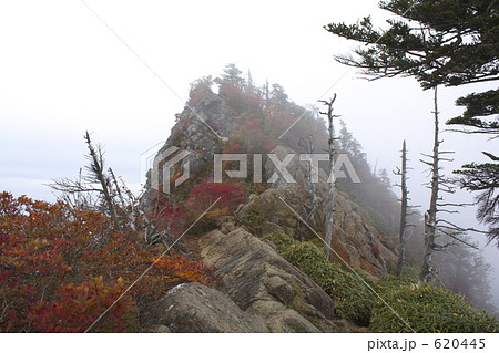 石鎚山の紅葉 620445