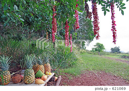 ハワイアン・ヘイアウ(祈祷所) 621069