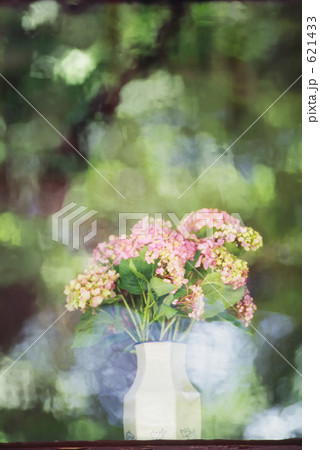 タカレナ0058 621433