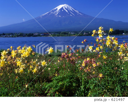 花咲く富士山 花咲く富士山 621497