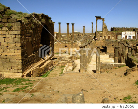 シタデル・ローマ劇場の北部から見た列柱　遺跡群（シリア） 622056