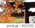 紅葉の神社 622502