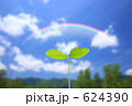 アオゾラト双葉 624390