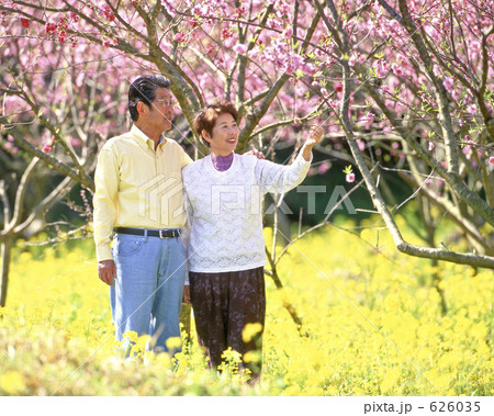 桃畑を散策する夫婦 桃畑を散策する夫婦 626035