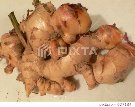 大きな生姜2 大きな生姜2 627134