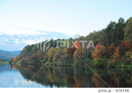 女神湖の紅葉 628198