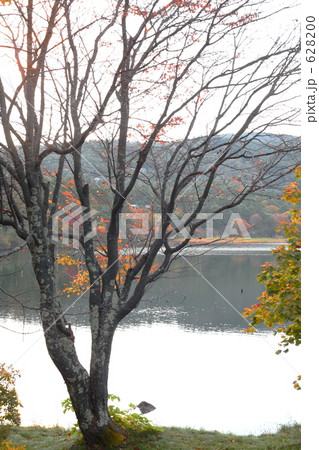 女神湖の紅葉 女神湖の紅葉 628200