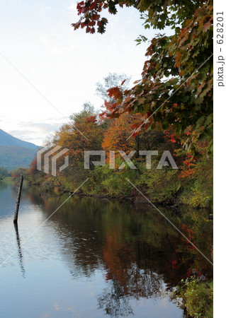 女神湖の紅葉 628201