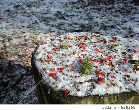 おんこの実 おんこの実 628269