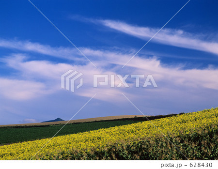 628430