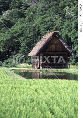 夏風景 夏風景 629052