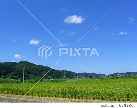 福島県棚倉町の田んぼの風景 福島県棚倉町の田んぼの風景 629336