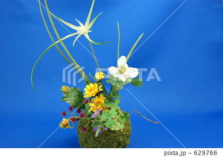 アートフラワー アートフラワー 629766