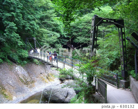 袋田の滝の吊橋 630132