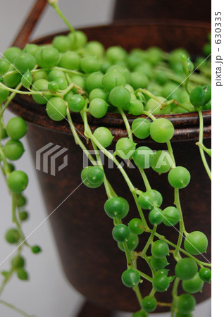 グリーンネックレス グリーンネックレス 630335