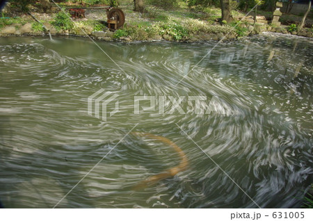 花筏(はないかだ) 花筏(はないかだ) 631005
