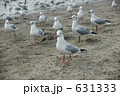 631333
