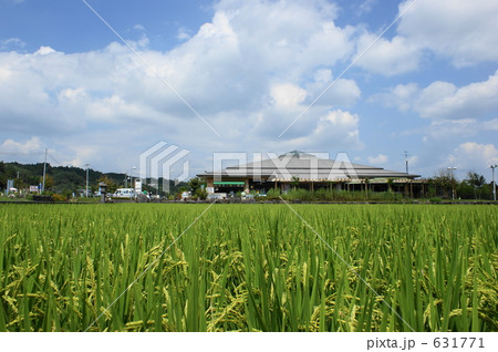 稲穂と青空（9月撮影） 631771