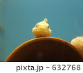 ふうせんうお 632768