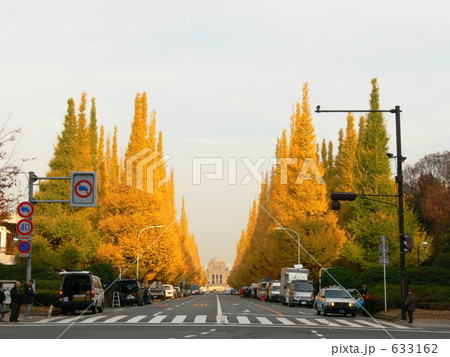 神宮外苑のイチョウ並木 633162