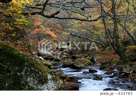 秋の渓流 633765
