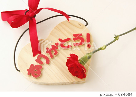 母の日 母の日 634084