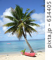 海辺の椰子 634405