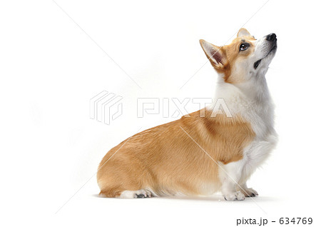 アイコンタクト 634769