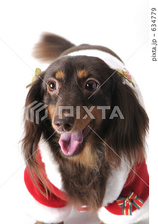 クリスマスが楽しみ クリスマスが楽しみ 634779