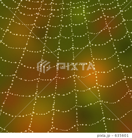 スパイダーウェブ 635601