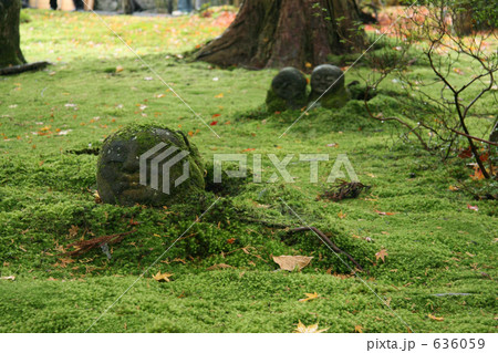 大原 三千院 わらべ地蔵 大原 三千院 わらべ地蔵 636059