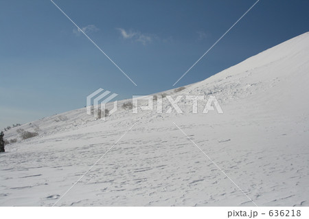 八幡平　2008年源太ヶ岳雪崩事故発生4日後現場 636218