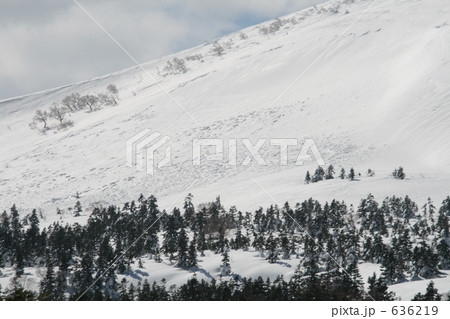 八幡平　2008年源太ヶ岳雪崩事故発生4日後現場 636219