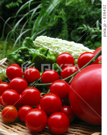 夏野菜の収穫 636432