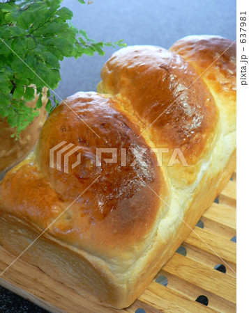 手作りパン 637981