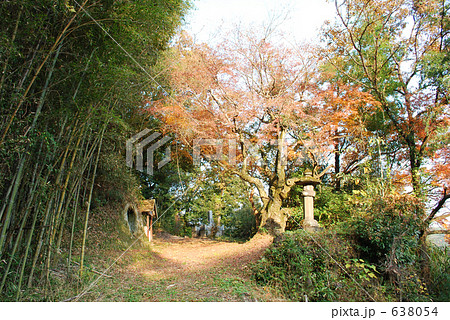 田舎の山道 638054